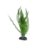 Hobby Aponogeton 25 cm - Plante Artificielle pour Arrière-Plan Aquarium