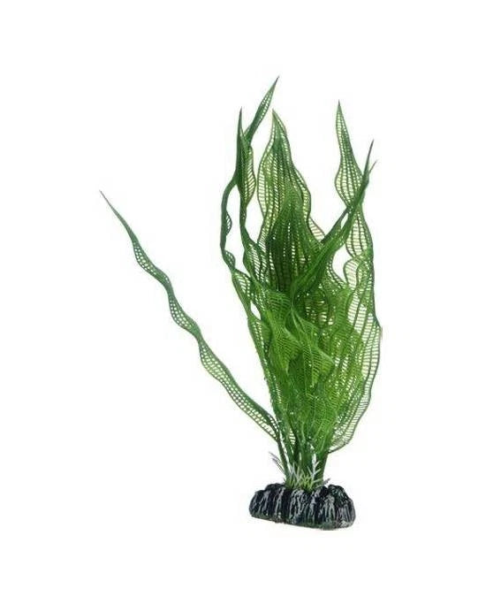 Hobby Aponogeton 25 cm - Plante Artificielle pour Arrière-Plan Aquarium