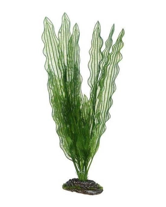 Hobby Aponogeton 39 cm - Plante Artificielle XL pour Grands Aquariums