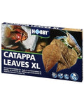 Hobby Catappa Leaves XL - 12 Feuilles d'Amandier Indien pour Aquarium