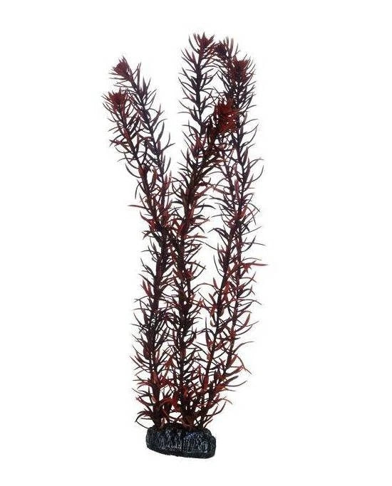 Hobby Eusteralis 39 cm - Plante Artificielle XXL Design Étoilé