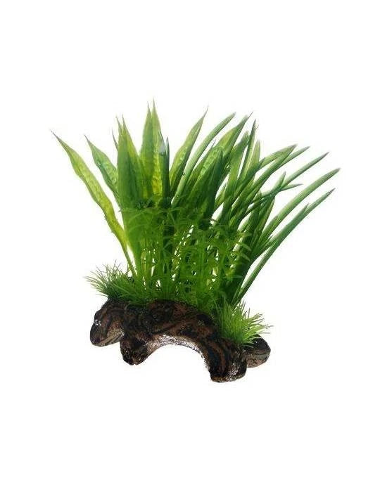 Hobby Flora Root 1 S - Racine Décorative avec Plantes (17 cm)