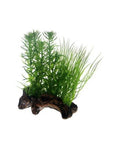 Hobby Flora Root 2 S - Racine Décorative avec Plantes (17 cm)