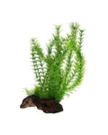 Hobby Flora Root 3 L - Racine Ornementale avec Plantes XXL (30 cm)