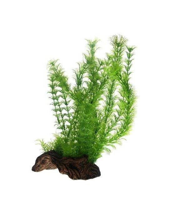 Hobby Flora Root 3 L - Racine Ornementale avec Plantes XXL (30 cm)