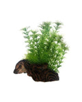 Hobby Flora Root 3 S - Racine Décorative avec Plantes (17 cm)