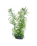 Hobby Heteranthera 25 cm - Plante Artificielle Grande Taille pour Aquarium