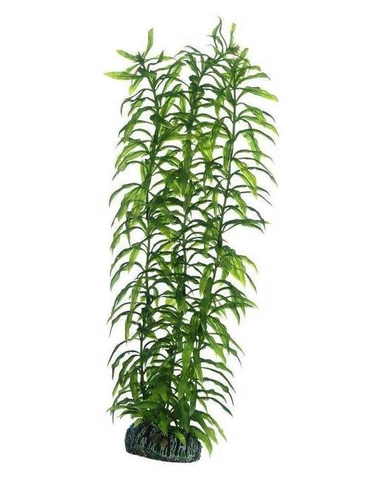 Hobby Heteranthera 34 cm - Plante Artificielle XXL Arrière-Plan Aquarium