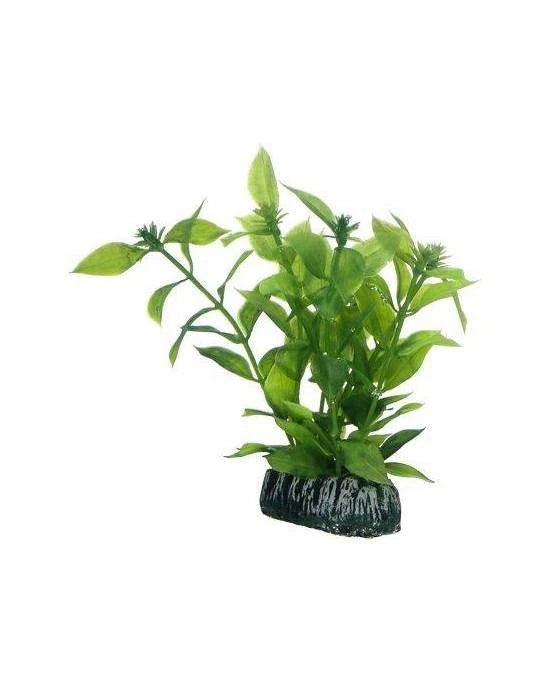 Hobby Hygrophila 13 cm - Plante Artificielle Réaliste pour Aquarium