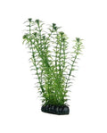 Hobby Lagarosiphon 20 cm - Plante Artificielle Fine Arrière-plan Aquarium