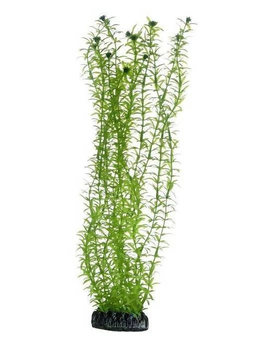 Hobby Lagarosiphon 34 cm - Plante Artificielle XXL Arrière-plan Aquarium