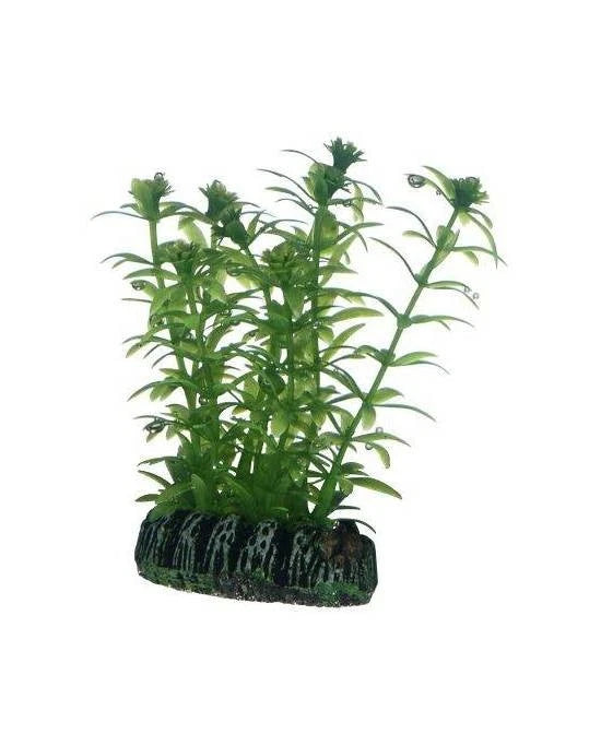 Hobby Lagarosiphon 7cm - Plante Artificielle Fine pour Nano Aquarium