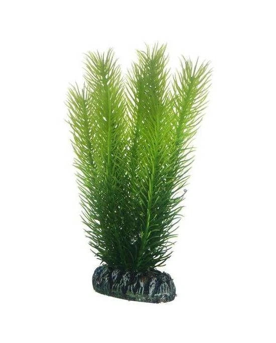 Hobby Mayaca 16 cm - Plante Artificielle Plumeuse pour Milieu de Plan