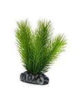 Hobby Mayaca 7 cm - Plante Artificielle Ultra-Fine pour Nano Aquarium