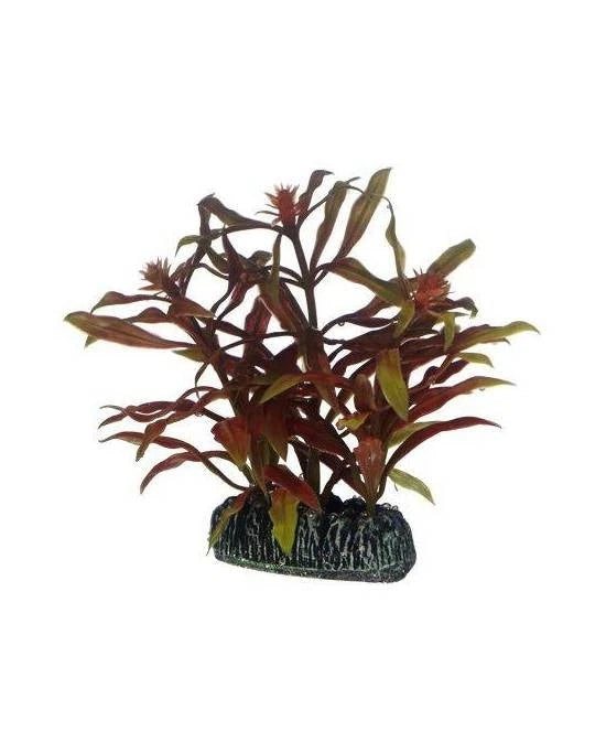 Hobby Nesaea 7 cm - Plante Artificielle Rouge/Verte pour Nano Aquarium