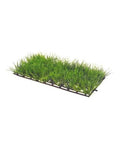 Hobby Plant Mat 1 - Tapis de Plantes Artificielles 25 x 12,5 cm - Aquarium