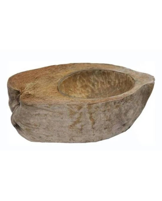 Noix de Coco Naturelle Cachette Terrarium Reptile Grotte Abreuvoir Mangeoire