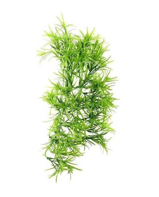 Plante Artificielle Aquarium Hobby Climber Tropica 37 cm Décoration Naturelle