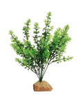 Plante Artificielle Aquarium Socle Feuillage Decor Plastique Terrarium Grand 30 CM