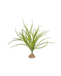 Plante Artificielle Aquarium Socle Fine Feuillage Decor Terrarium Grand Bac 40