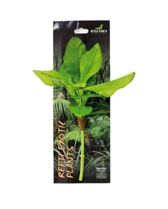 Plante Artificielle Bananier Terrarium Reptiles Planet Repti Exotic Plant M