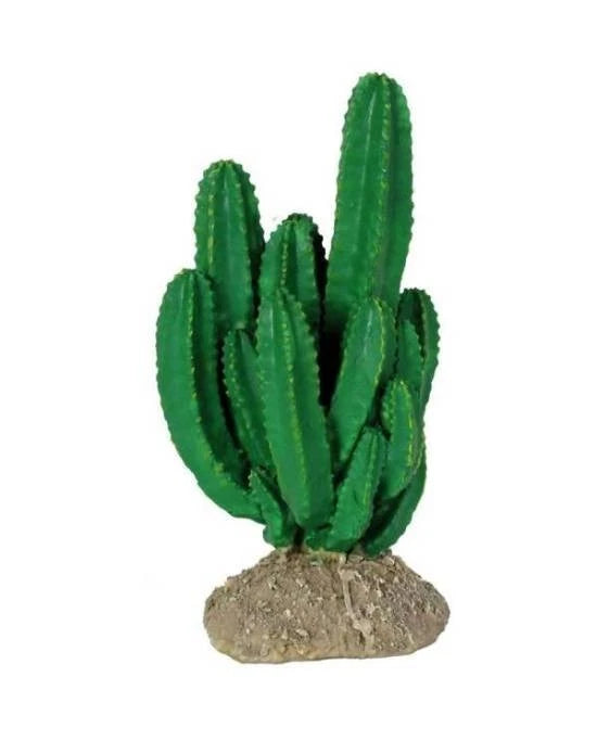 Plante Artificielle Cactus Ironwood Terrarium Reptiles Planet 7x7x17 cm Decor