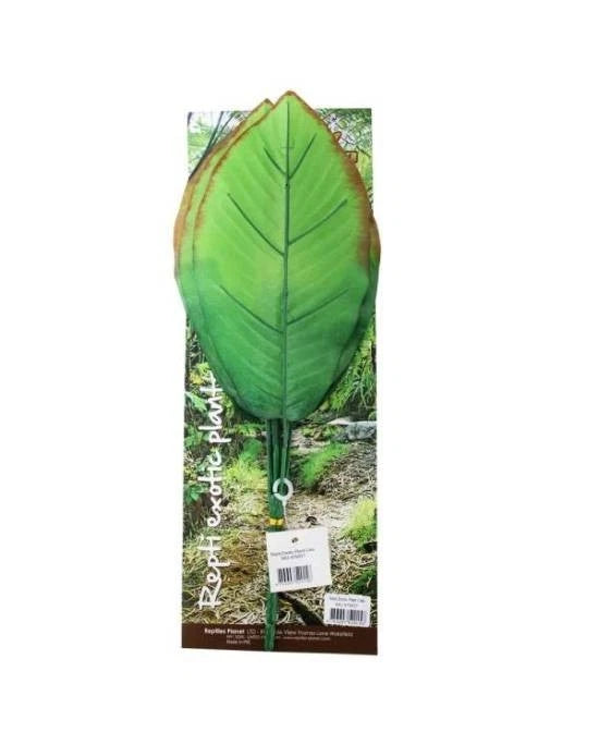 Plante Artificielle Cala Terrarium Decor Reptiles Planet Repti Exotic Plant