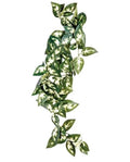 Plante Artificielle Lianes Suspendues Terrarium Decor Reptile Komodo Borneo 40 CM