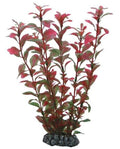 Plante Artificielle Ludwigia 25 cm - Décoration Aquarium & Terrarium - Hobby