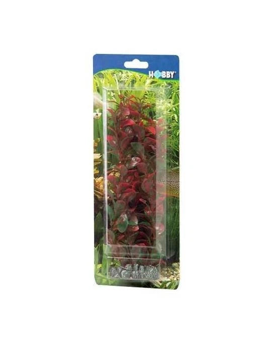 Plante Artificielle Ludwigia 34 cm - Décoration Fond d'Aquarium - Hobby