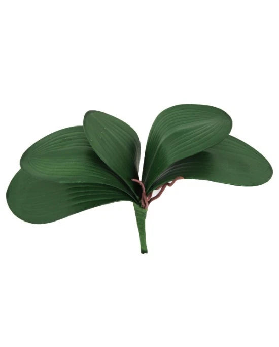 Plante Artificielle Orchidee Terrarium Reptiles Planet Repti Exotic Plant L
