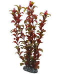 Plante Artificielle Rotala 30 cm - Décoration Arrière-plan Aquarium - Hobby