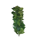 Plante Artificielle Soie Liane Terrarium Decor Reptile Komodo Sumatra Vine 35 CM