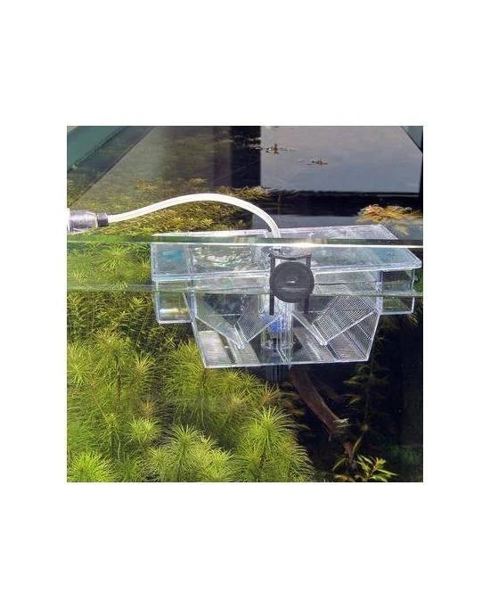 Pondoir JBL BabyHome Oxygen avec Pompe à Air - Bac de Reproduction Premium