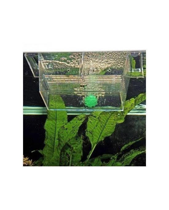 Pondoir JBL BabyHome proAir pour Aquarium - Boîte de reproduction à air