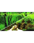 Poster Aquarium Hobby 2 Faces Canyon Woodland 100x50 cm Décor Aquascaping XL