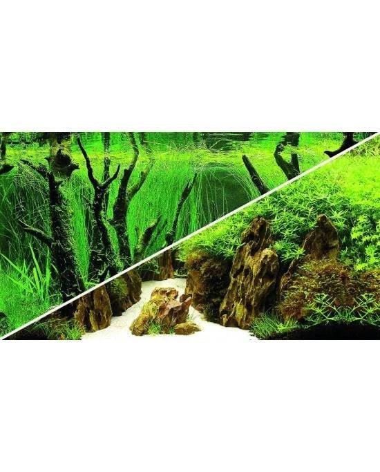 Poster Aquarium Hobby 2 Faces Canyon Woodland 100x50 cm Décor Aquascaping XL