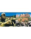 Poster Desert Reptiles Planet Décor Recto Verso 2 Faces Terrarium 0,30x15 m