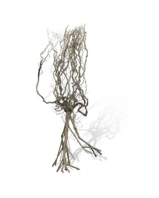 Racine Naturebrousse Aquavie 20-30cm Bois Naturel Ultra-Ramifié Aquascaping Neuf