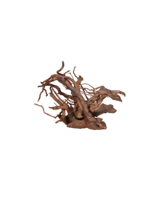 Racine Vigne Rare Rouge Aquavie 10-25cm Araignée Aquascaping Aquarium Naturel