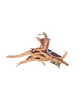 Racine de Vigne Rare Slim Aquavie 10-30cm Bois Naturel Aquarium et Terrarium