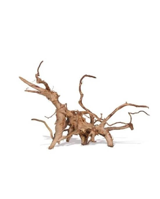 Racine de Vigne Rouge Rare Aquavie 30-50cm Décoration Naturelle Aquarium