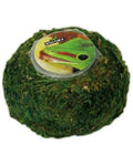 Reptiles Planet Repti Moss Ball - Mousse de Sphaigne Naturelle pour Terrarium