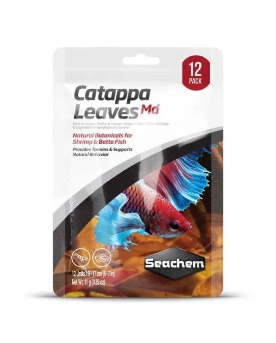 Seachem Catappa Leaves Medium 16-17cm - 12 Feuilles d'Amandier Indien