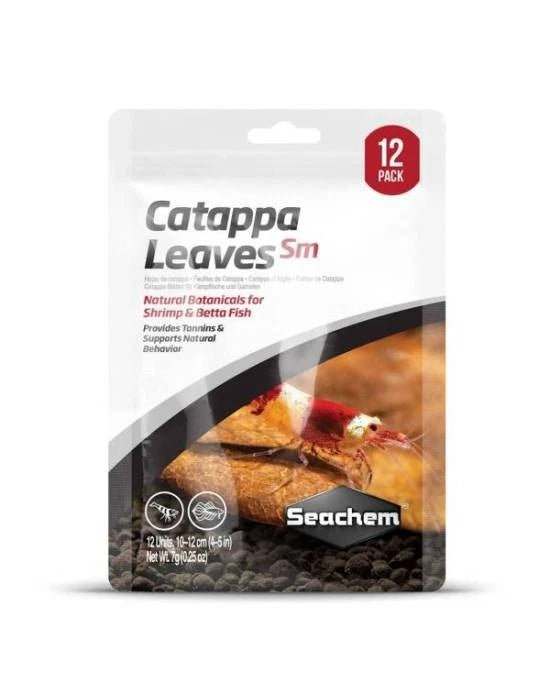 Seachem Catappa Leaves Small 10-12cm - 12 Feuilles d'Amandier Indien