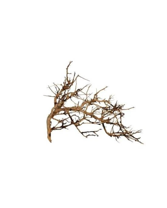 Vigne Broussa 10-30 cm – Décor Naturel Ramifié pour Aquascaping et Terrarium