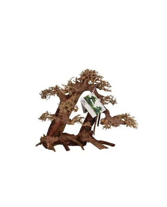 aquavie aqua bonsai nature xl+ 40x30x25 cm decor naturel aquarium aquascaping