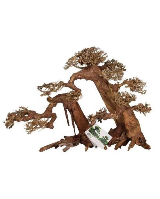 Aquavie aqua bonsai nature xl++ 55x40x30cm decor naturel aquarium aquascaping neu