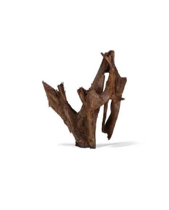 aquavie racine mangrove naturelle 40-60 cm decor aquarium terrarium