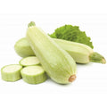 Courgette Lungo Bianco | 10 Graines | Blanche De Sicile Longue Productive